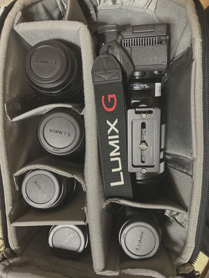 収まったところ