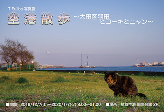 空港散歩 〜大田区羽田 ヒコーキとニャン〜