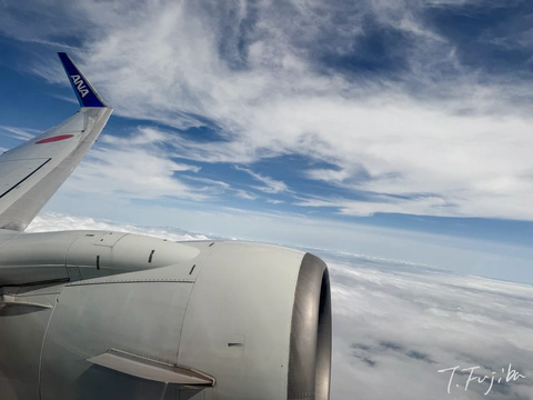 1783382836-0.jpg
