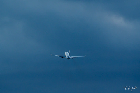 1788084060-0.jpg