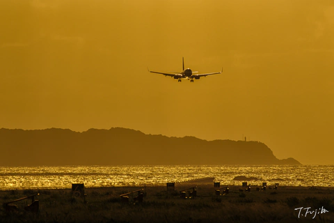 1788604701-0.jpg