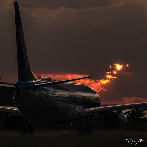1788604874-0.jpg