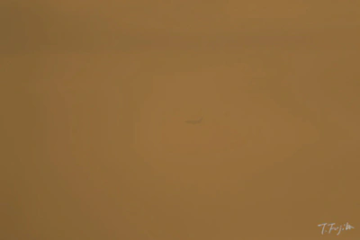 低コントラストで小さな被写体の合焦例(トリミングなし)