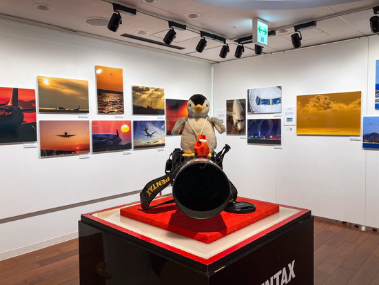 空港散歩2020 作品パネル